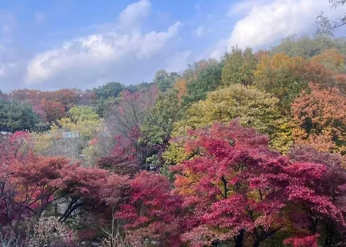 Villa 건대 성수 인접 넓은 3룸 최대8인 Kspo 롯데월드 이동편리 아차산역 4분